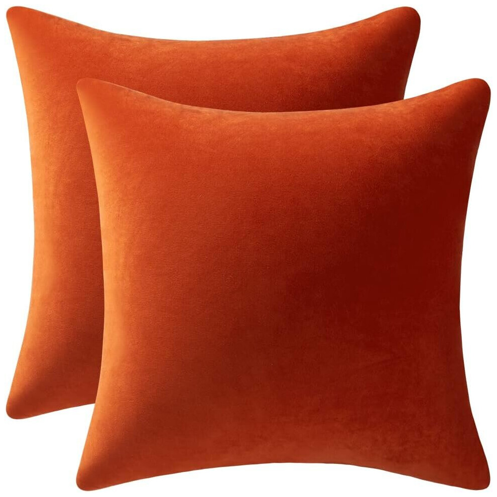 Couch Pillow Cases 20x20 Burnt Orange: 2 Pack Cozy Soft Velvet Square Throw Pillow Covers for Farmhouse Home Decor, IFENG