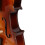 1/2 Size Natural Acoustic Violin with Case+ Bow + Rosin 4