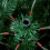 (5ft) VeryMerry 'Aspen' Pre-Lit Christmas Tree 4