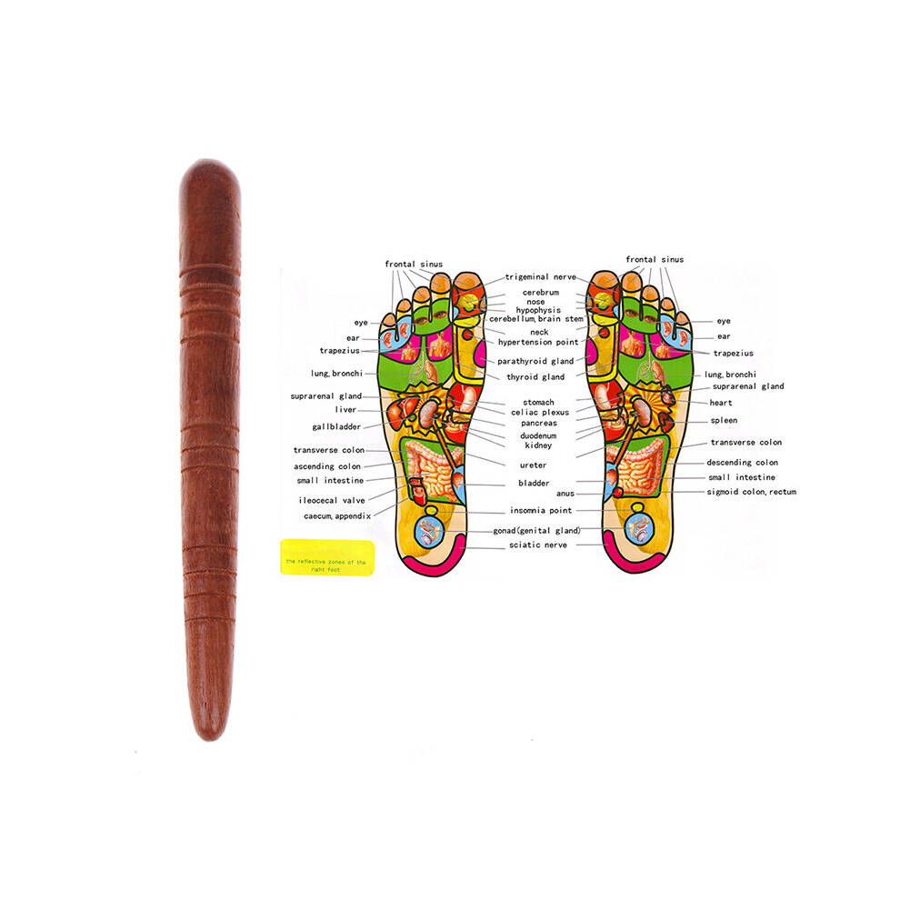 Dechoicelife (A-1Pc) Wooden Foot Spa Physiotherapy Reflexology Thai Foot Massage Health Chart Free Massage Stick Tool