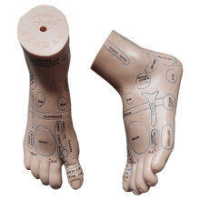20cm Foot reflex zone massage model, not acupuncture model, English code TCM Feet Reflexology, 2pcs = 1 pair free