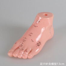 (a-Orange) 17cm Foot acupuncture model set foot acupuncture needle acupoint model foot acupuncture point model 2 pieces