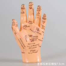 (a-English Version 13cm) 17cm Foot acupuncture model set foot acupuncture needle acupoint model foot acupuncture point model 2 pieces