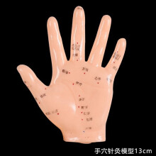 (a-Gold) 17cm Foot acupuncture model set foot acupuncture needle acupoint model foot acupuncture point model 2 pieces