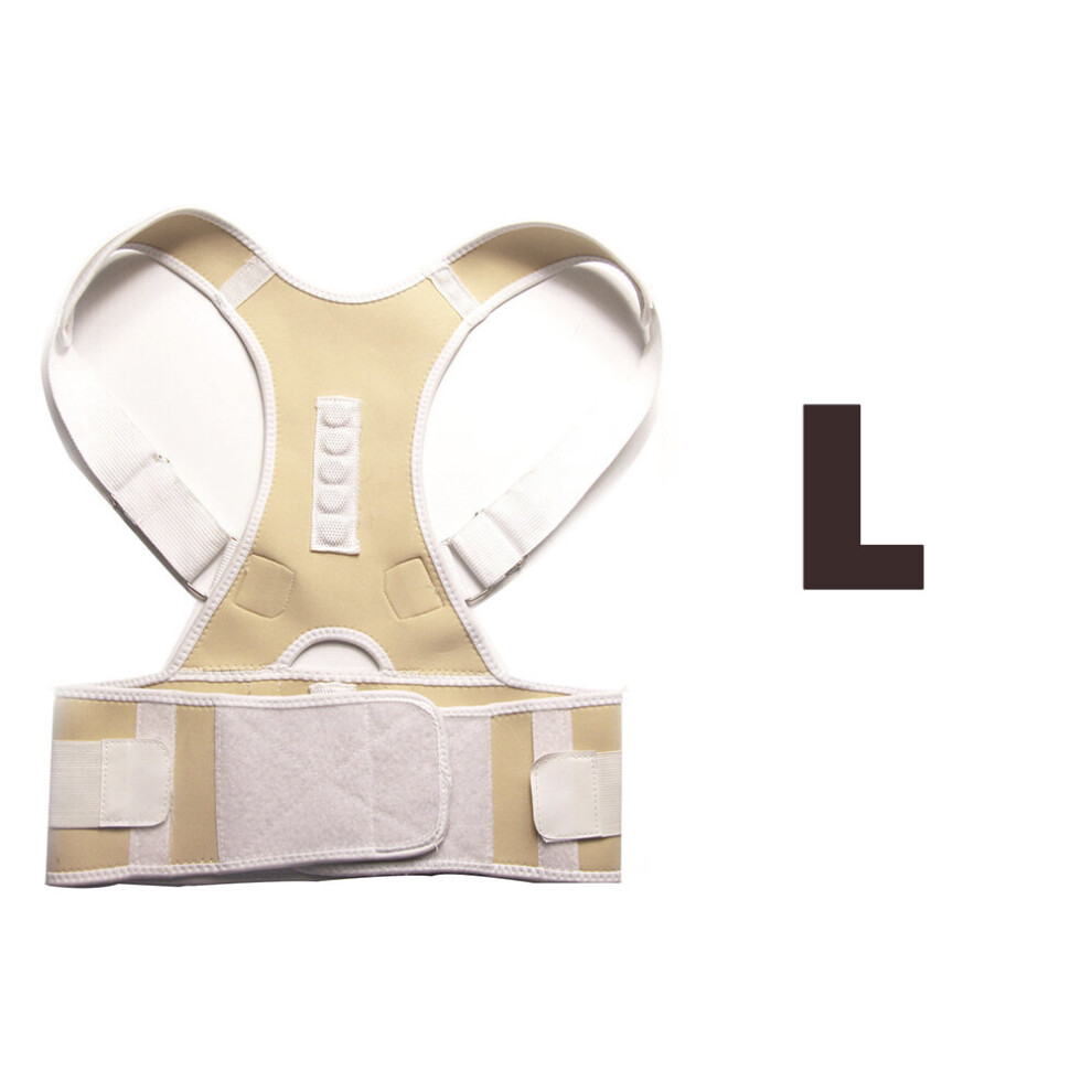 Dechoicelife Beige (A-L ) Free Therapy Posture Magnetic Corrector Brace Shoulder Back Support Belt For Men Women Braces & Supports Belt Non-Woven