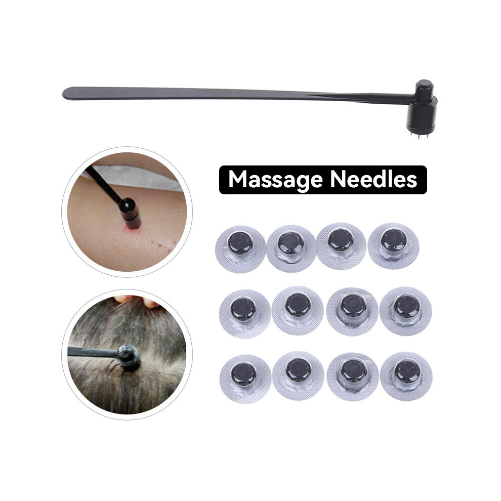 Dechoicelife Double Head Chinese Acupuncture Needle Needle Seven Star Dermal Needle With 12 Replacable Head Skin Needle