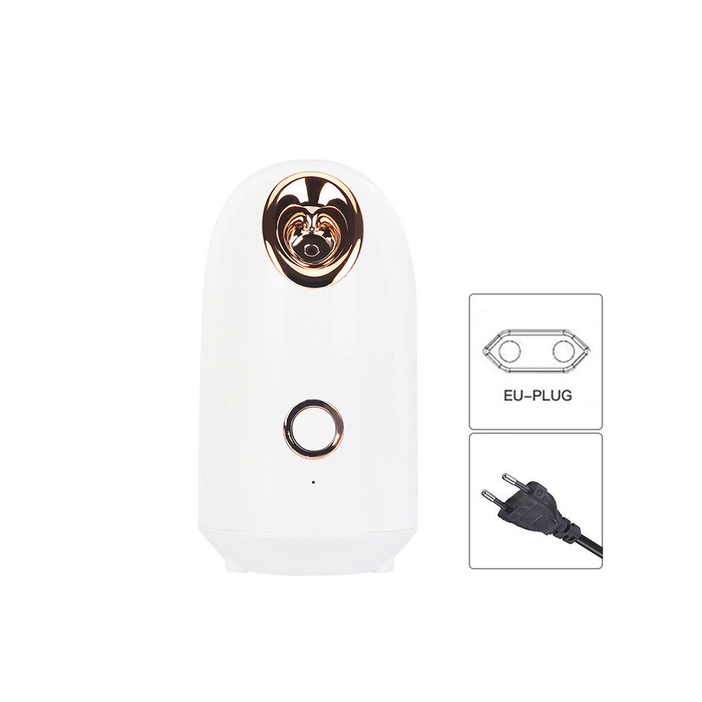 Dechoicelife (A-Z2-Eu) Facial Steamer Hot Nano Mister Sprayer Face Moisturizer Winter Skin Care Humidifier Nano Ionic Facial Sprayer Face Spa Nebulizer