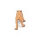 Figurina Smilodon PAPO - I Dinosauri - Per Bambini 7