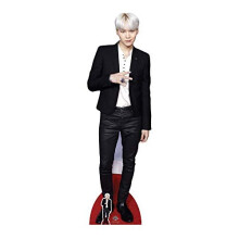 CS747 Cardboard Free Desktop Cutout of Min Yoon-Gi (Suga) Bangtan Boys Lifesize Standee, Multicolour