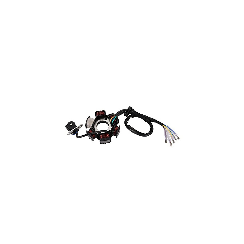 6 Coil Magneto Stator Ignition Generator Replacement For Gy6 50Cc 70Cc 90Cc 110Cc 125Cc Moped Atv Dirt Bike 5011145429910
