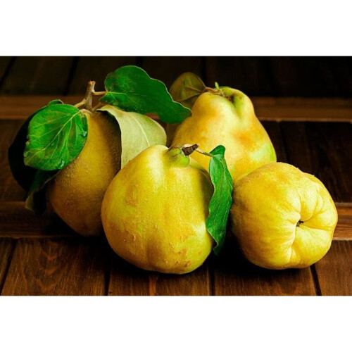 Alises- Dulce de Membrillo - Spanish Quince Paste 400g 2