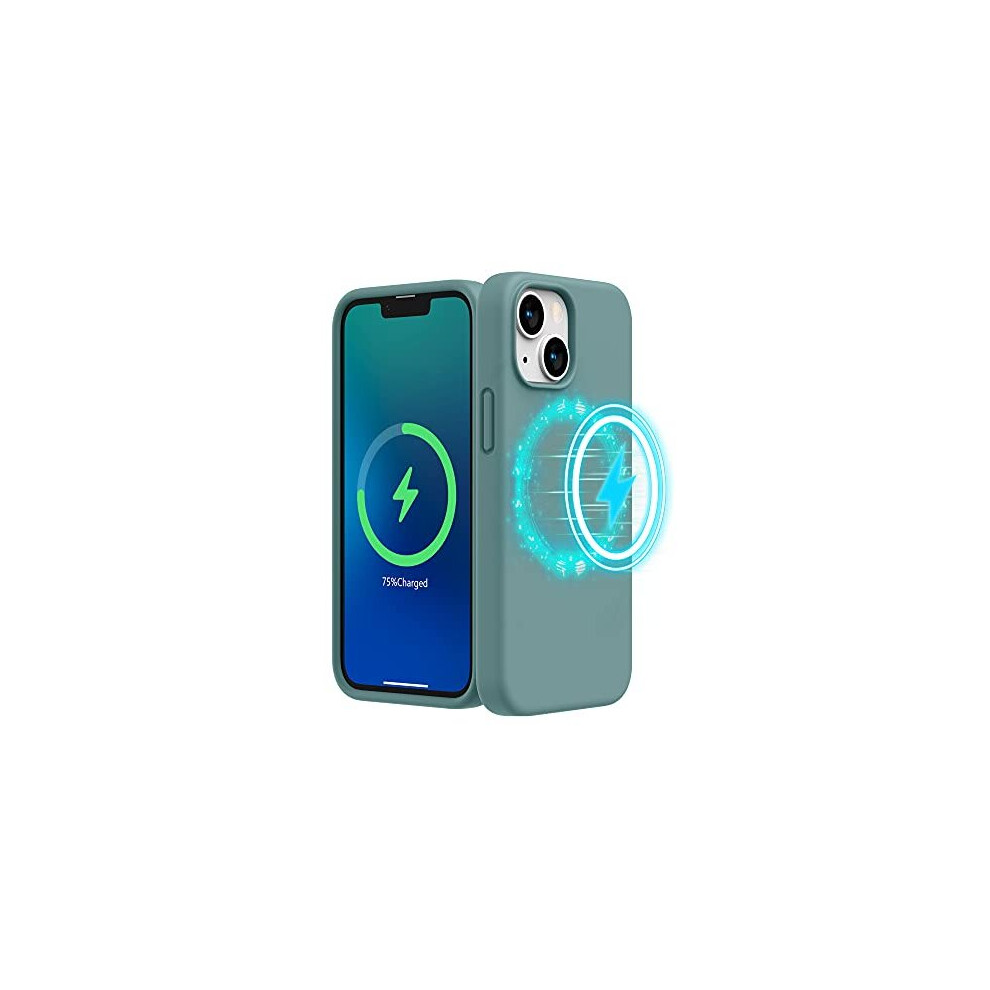 Magnetic Case Designed For Iphone 13 Mini Case (5.4 Inch 2021 Release), With Microfiber Lining Liquid Silicone Phone Case For Iphone 13 Mini (Cactus 5011145513183