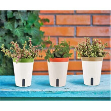 3Pcs Self Watering Planter Pot, 12.5CM Round Plastic Plant Pot Garden Flower Bonsai Pots for Aloe Herb Orchid Succulent Plants - with Water Level