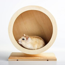 Wooden Hamster Wheel, Small Pets Exercise Wheel, Mute Running Spinner Wheel for Rest And Exercise of Syrian Hamsters, Gerbils, Rat, Mice, Dwarf, Small