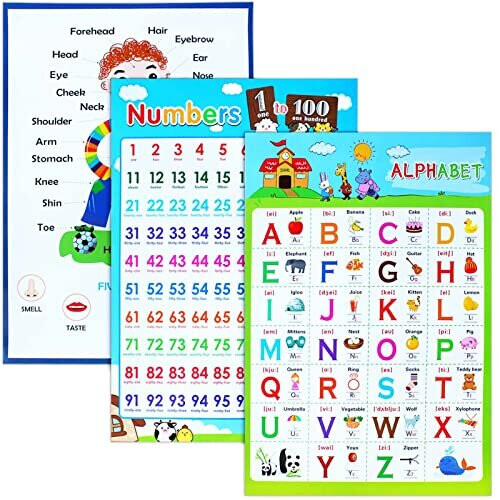 3 Pieces Educational Poster Laminated Wall Learning Chart Number and ...