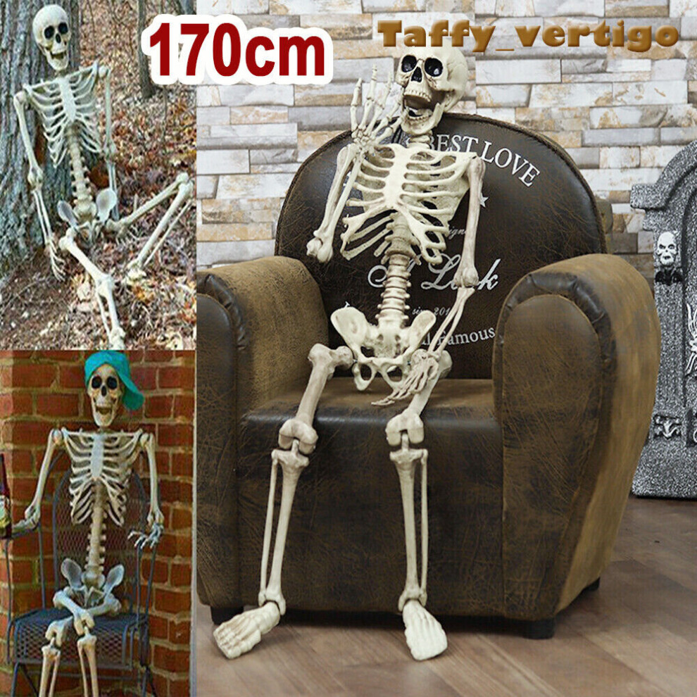 170CM Skeleton Full Size Poseable Human Halloween Party Prop Haunted House Decor