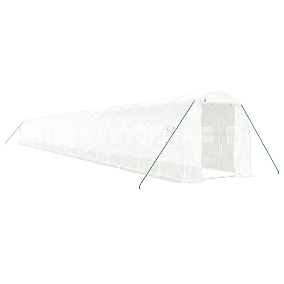 (white, 22 x 2 x 2 m) vidaXL Greenhouse Plant House with Steel Frame Polytunnel Greenhouse Green