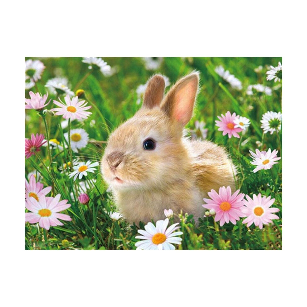 DIY Art Painting Home Office Decoration Rabbit