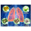 Respinature Herbal Lung Cleanse Mist-Powerful Lung Support 4