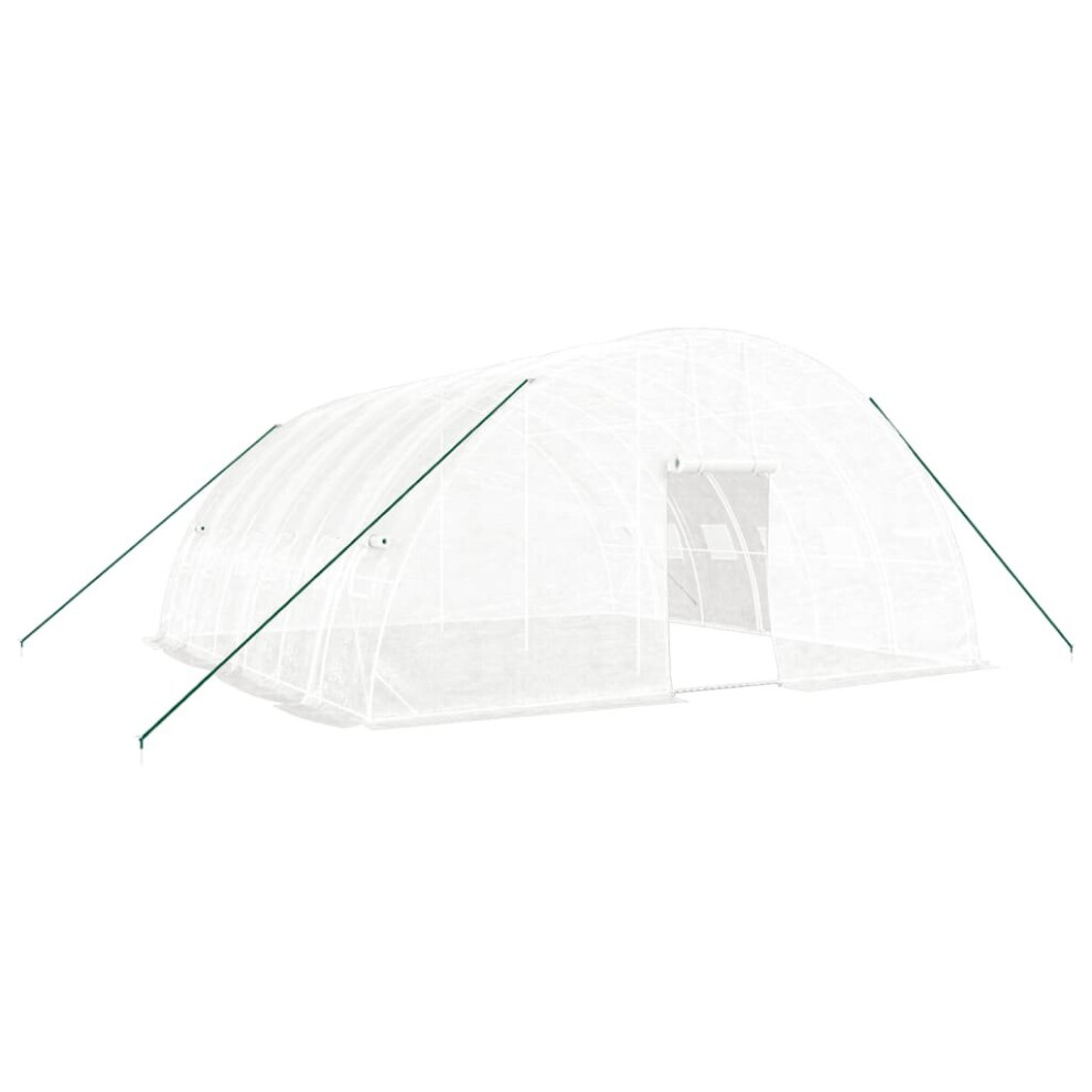 Vidaxl (, 6 X 6 X 2.85 M) Greenhouse Plant House With Steel Frame Polytunnel Greenhouse White/Green