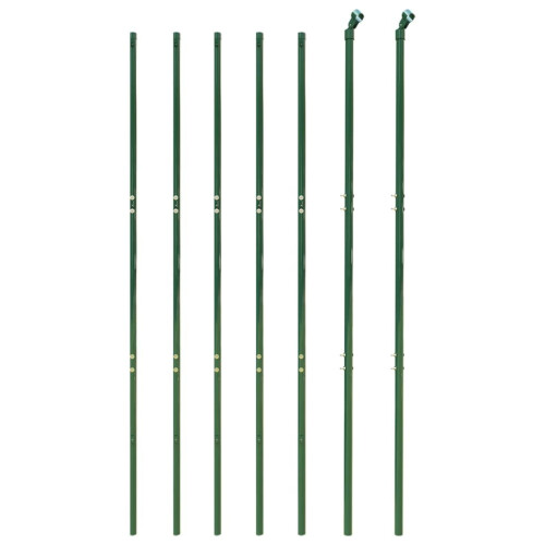 VidaXL vidaXL Maschendrahtzaun Grün 1,6x10 m 2
