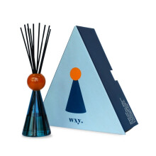 WXY. Disco Range Reed Diffuser - White Flowers & Green Stems