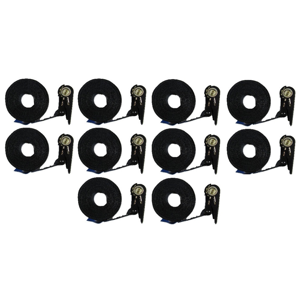 Tie Down Endless Ratchet Straps X10 (1T 25Mm 10M Lashing Heavy Duty) 600988502321