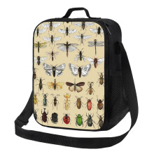 Kids Lunch Bag Entomology Insect Studies Collection Insulated Tote Box for Girls Boys Back to School