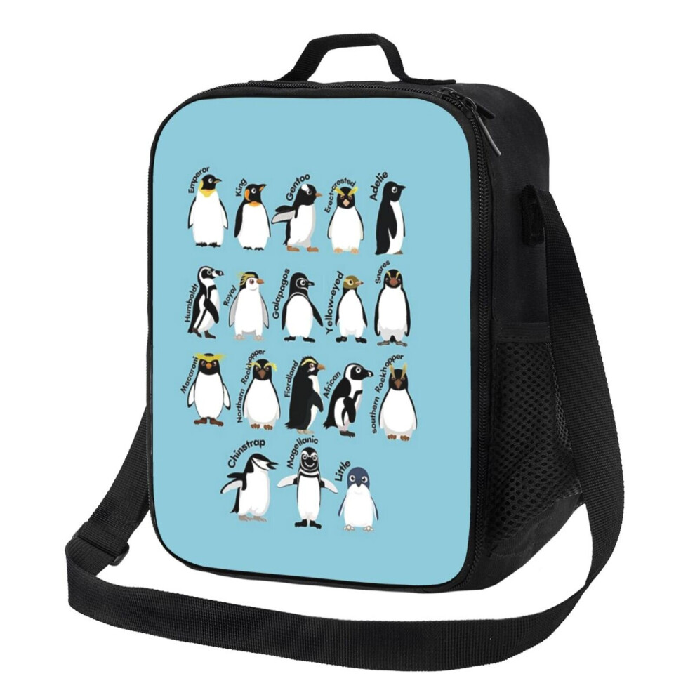 Kids Lunch Bag Penguin Species Insulated Tote Box for Girls Boys Back to School