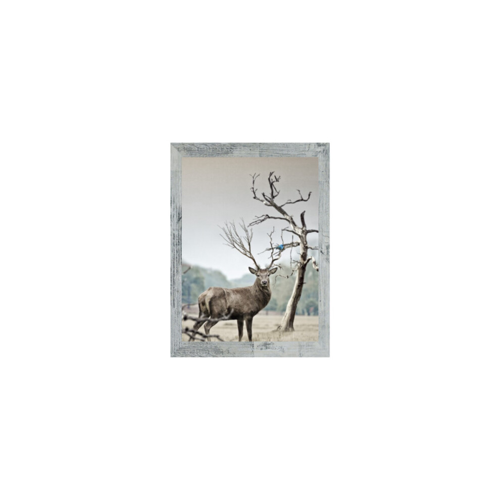 Sales Today Interior (20 X 16" ( 50.8 X 40.6Cm )) Rustic Silver Grey A1 A2 A3 A4 A5 Picture Frame Silver,Grey
