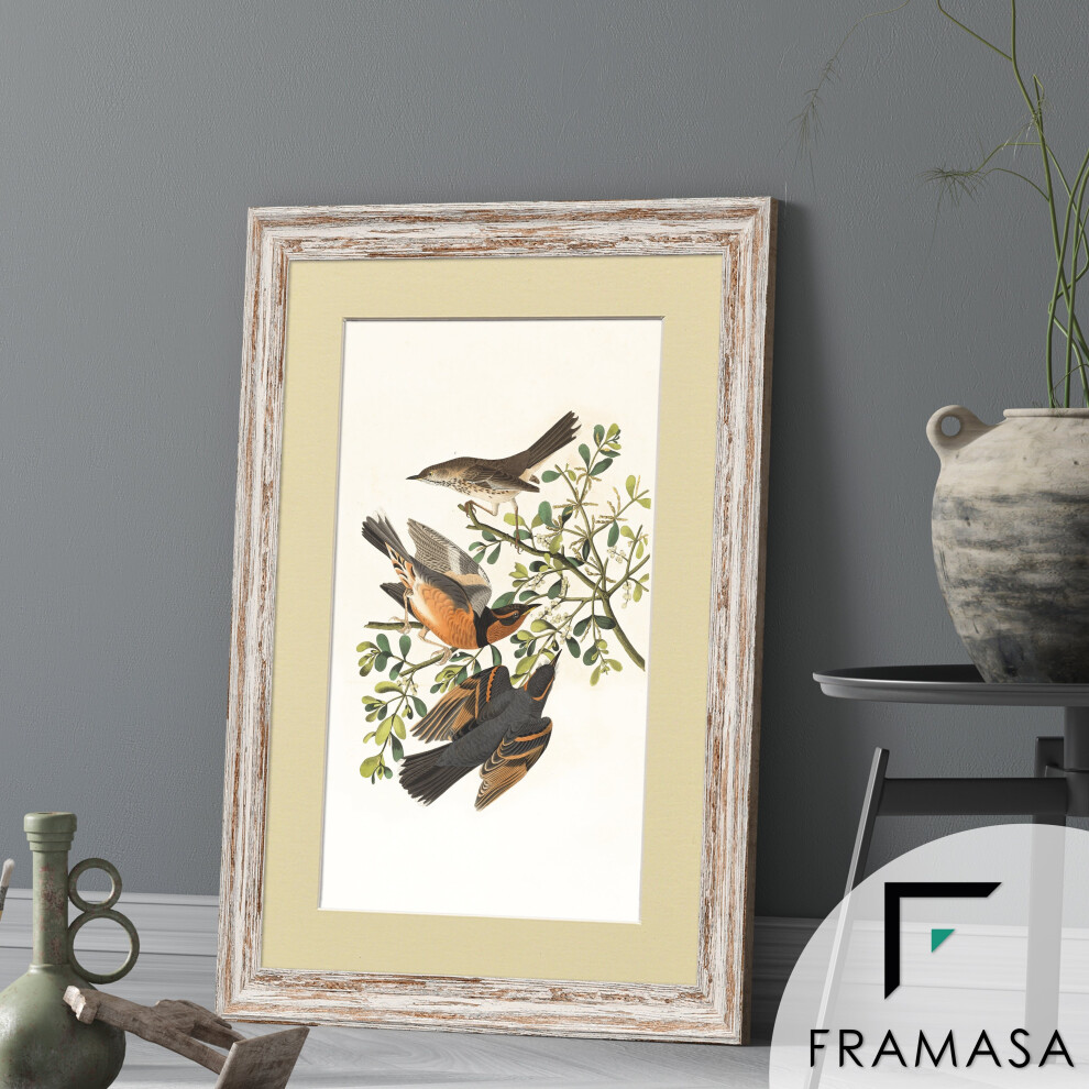 (Walnut Frame Ivory Mount, 90x60CM Pic (100x70CM Frame)) Vintage Distressed Walnut Photo Frames Shabby Wood Effect Picture Frames With Multicolored Mo-image-OPC-P78ZBR9-NEW