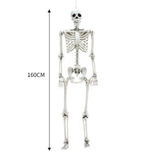 ( 160cm) Full Size Halloween Skeleton Haunted House Poseable Human Skeleton Prop Decors