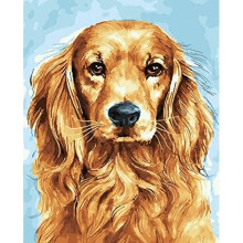 Paint by Numbers Kits for Adults and Kids Golden Cocker Spaniel Animal DIY Digital Oil Painting Gift Kits Canvas Art Home Decor-16*20 Inch Frameless