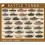 Tanks 1000 Piece Jigsaw 2