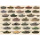 Tanks 1000 Piece Jigsaw 3