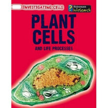 Plant Cells and Life Processes Investigating Cells