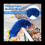 Gutter Cleaning Brush Roofing Tool with Telescopic pole 8.2Ft, blue 6