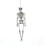 Living And Home (40CM) Halloween Realistic Posable Hanging Skeleton 4