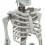 Living And Home (40CM) Halloween Realistic Posable Hanging Skeleton 9