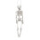 Living And Home (40CM) Halloween Realistic Posable Hanging Skeleton 5