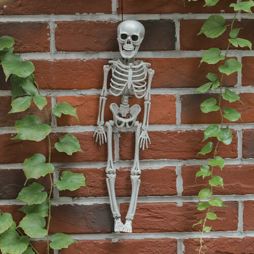 Living And Home (40CM) Halloween Realistic Posable Hanging Skeleton 2
