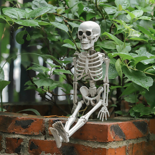 Living And Home (40CM) Halloween Realistic Posable Hanging Skeleton