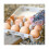 Classic 3x4 Style Egg Cartons - Holds 12 Eggs, -friendly Material (30pcs) 4