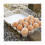 Classic 3x4 Style Egg Cartons - Holds 12 Eggs, -friendly Material (30pcs) 5