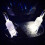 LED Coaster,12 Pack Coasters,LED Bottle Lights,LED Sticker Coaster Discs for Flash Cup 5
