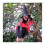 Halloween Hanging Animated Talking Witch Props Flying Witch on Broom 5