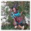 Halloween Hanging Animated Talking Witch Props Flying Witch on Broom 1