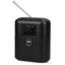 DAB+ FM Portable Radio Bluetooth Speaker Dual Alarm Clock