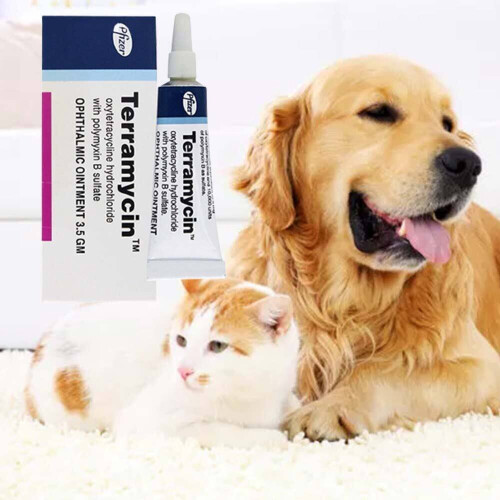 Pet Eye Ointment Pet Cat Dog Eye Ointment Corneal Inflammation Eye ...