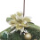 Living And Home Christmas Swag LED Lights Holiday Decor 7